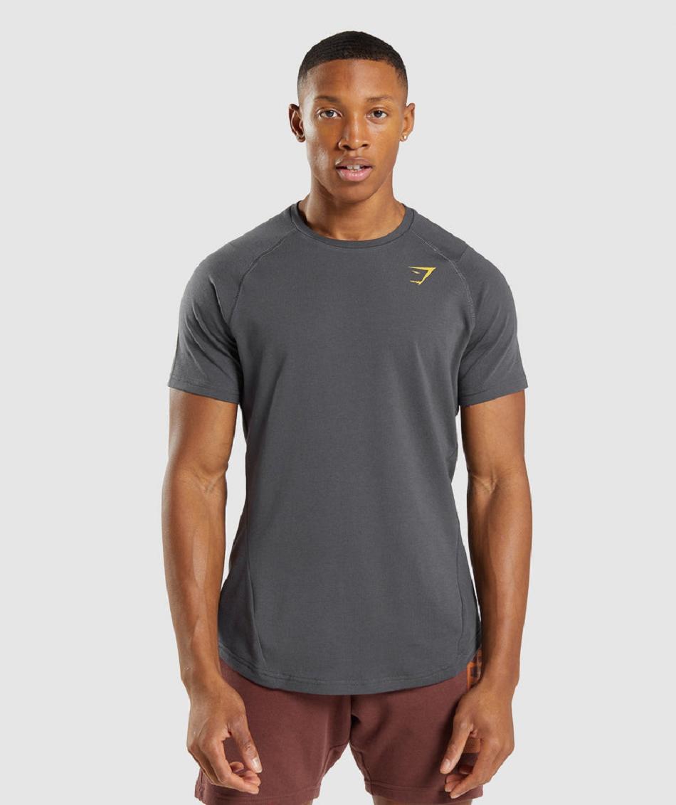 Gymshark Bold Muške T Shirts Crne Sive | HR 2441SGL